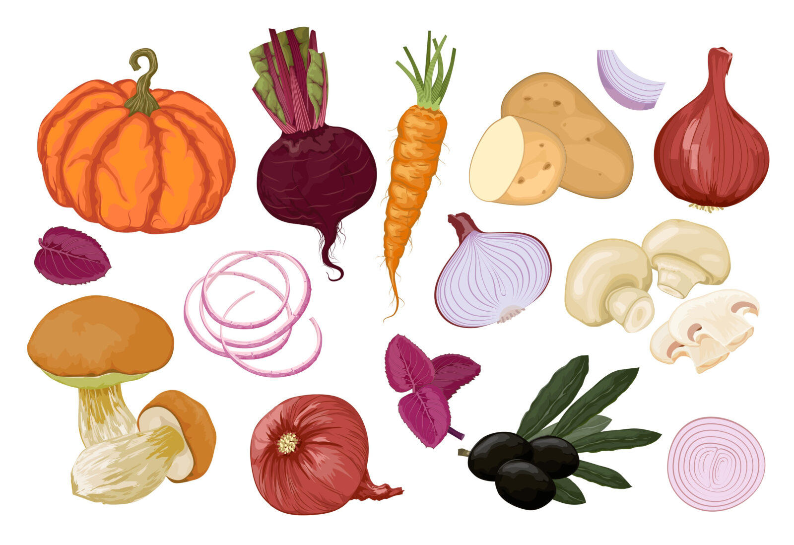 hand-drawn-vegetables-orange-and-vinous-vector-SBI-300153244